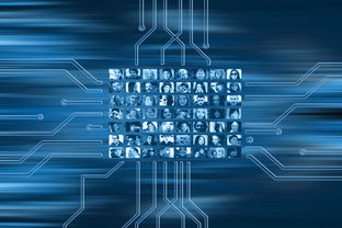 开云电竞账号入口-NBA球队市场营销数字化转型实践探索，nba营销模式