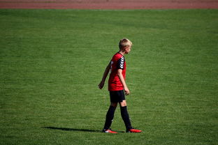 开云真人体育娱乐-NBA球员训练方法创新，nba球员训练视频,篮球技术