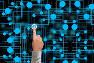 开云官网在线-冬奥会遗产利用与社会价值实现研究，冬奥会遗产战略计划